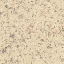 Natural Accent color Almond Crust